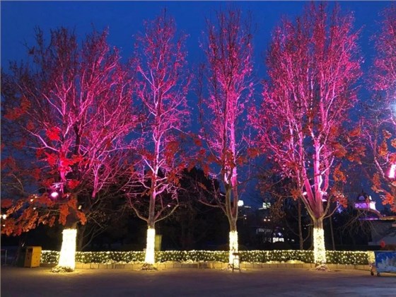 火樹(shù)銀花合