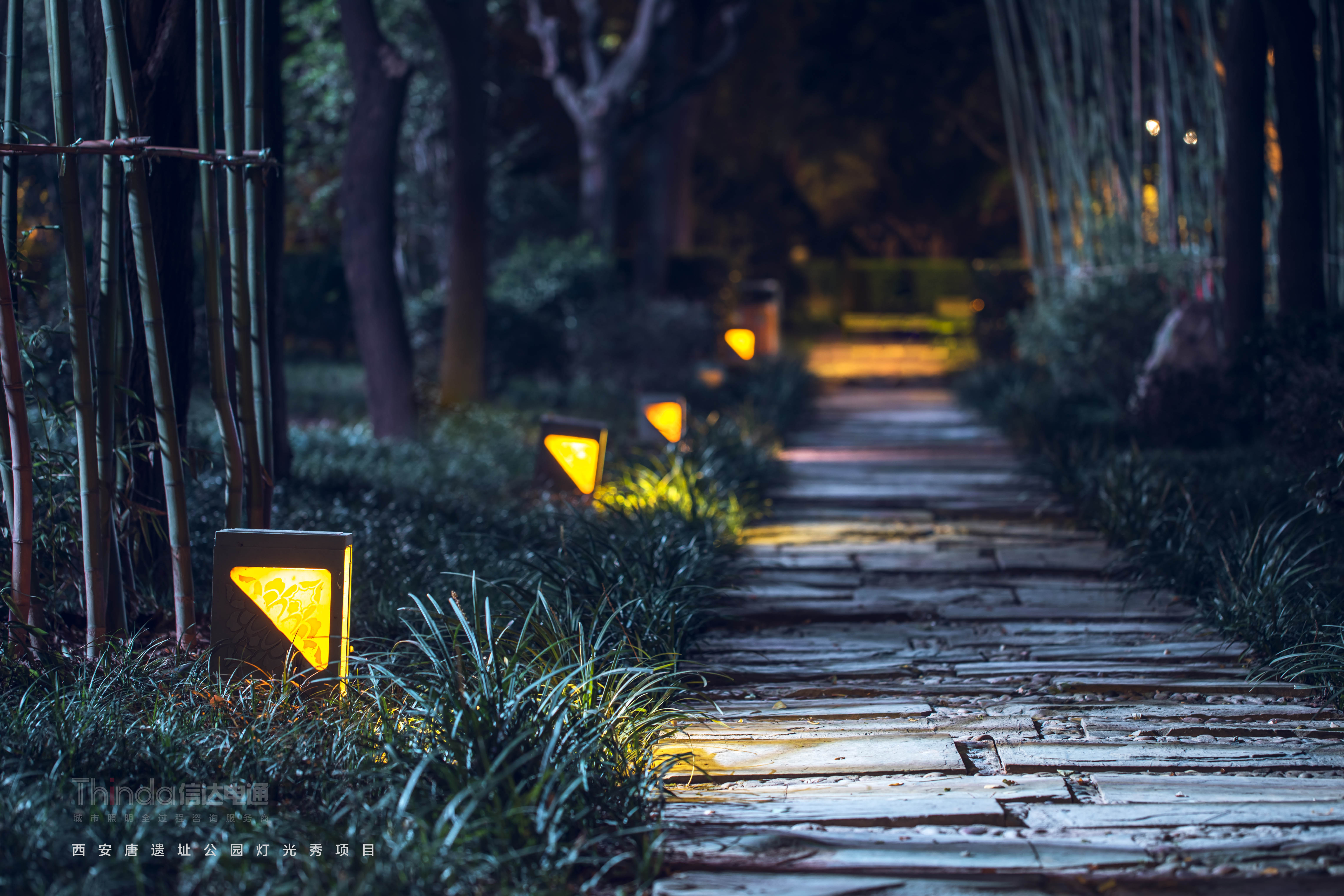 唐遺址公園夜景